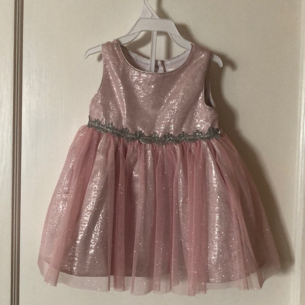Brand New Baby Girl Flower GirlParty Dress